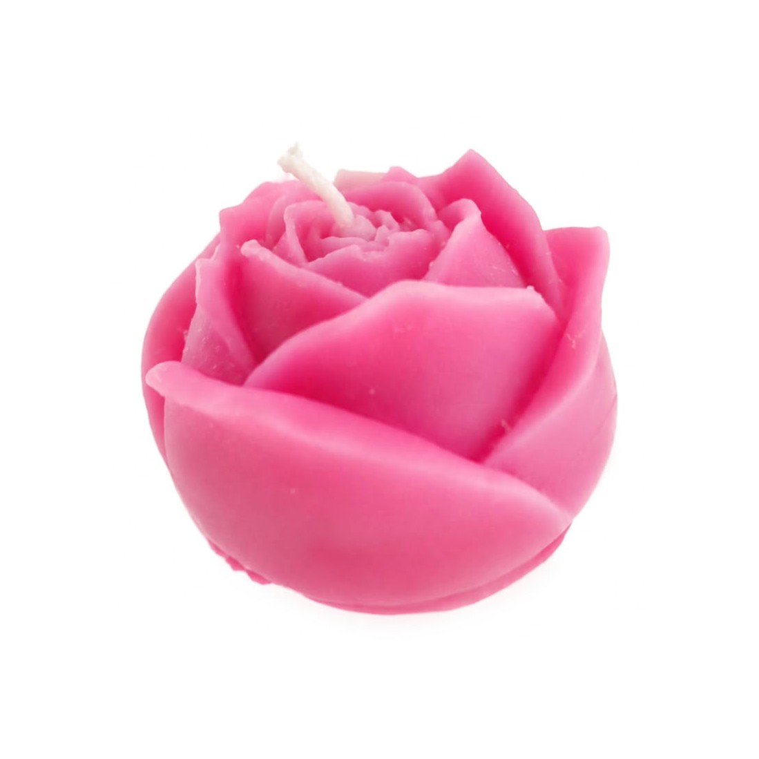 Rose Fuchsia