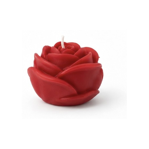 Rose Kirschrot